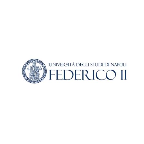 Università Degli Studi di Napoli “Federico II”